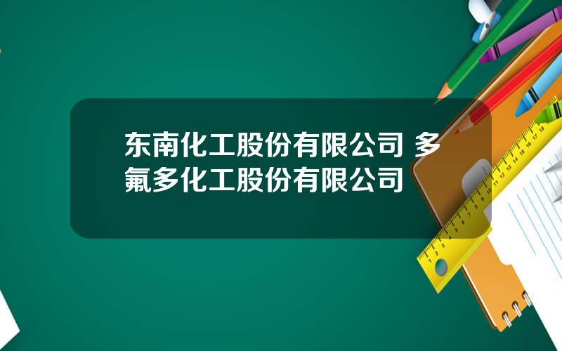 东南化工股份有限公司 多氟多化工股份有限公司